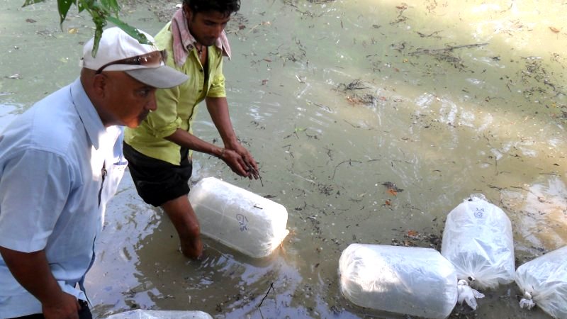 Fish Farming at ESCN