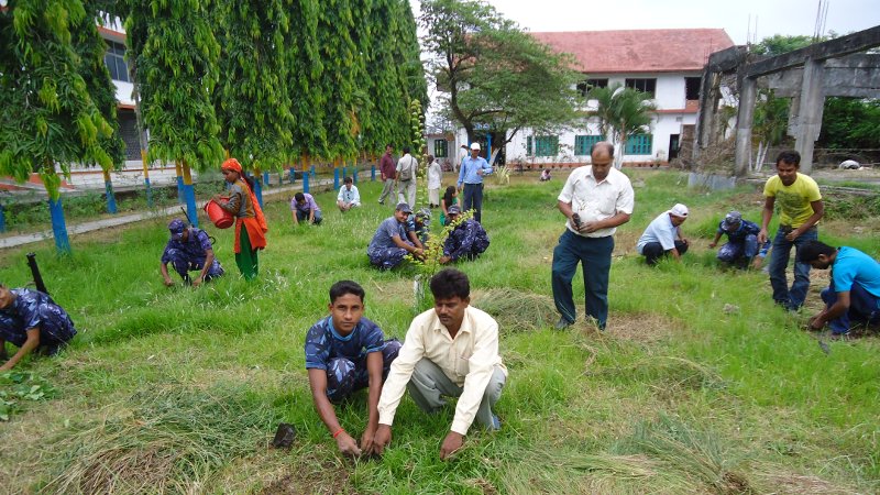 Plantation Programme at ESCN